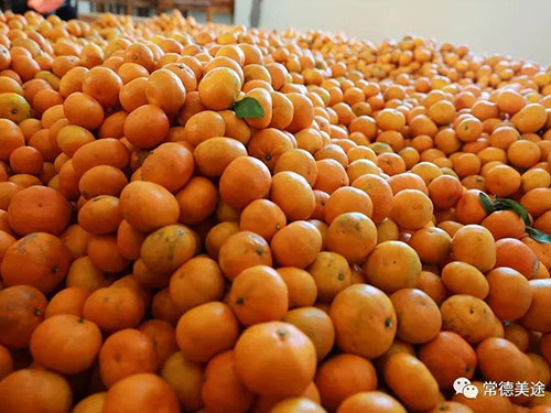 情暖冬日，愛(ài)滿(mǎn)石門(mén)