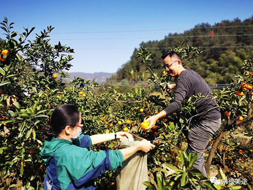 常德美途人力資源服務有限公司,常德人力資源,人才就業(yè)機構,高鐵乘服員培訓,高端海乘培訓 常德美途人力資源服務有限公司,常德人力資源,人才就業(yè)機構,高鐵乘服員培訓,高端海乘培訓